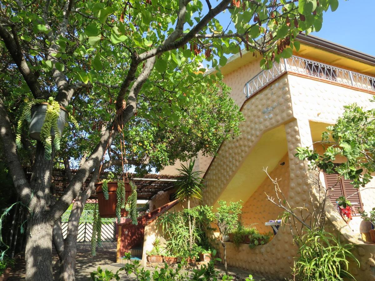 Iocchedda Apartment Porto Ottiolu Ngoại thất bức ảnh